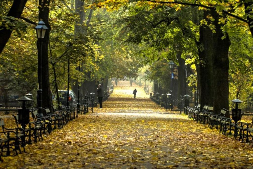 Apartament Romantic Free Parking *